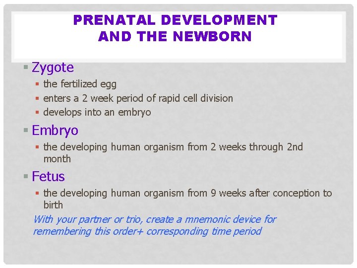 PRENATAL DEVELOPMENT AND THE NEWBORN § Zygote § the fertilized egg § enters a