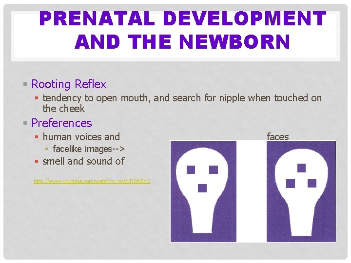 PRENATAL DEVELOPMENT AND THE NEWBORN § Rooting Reflex § tendency to open mouth, and