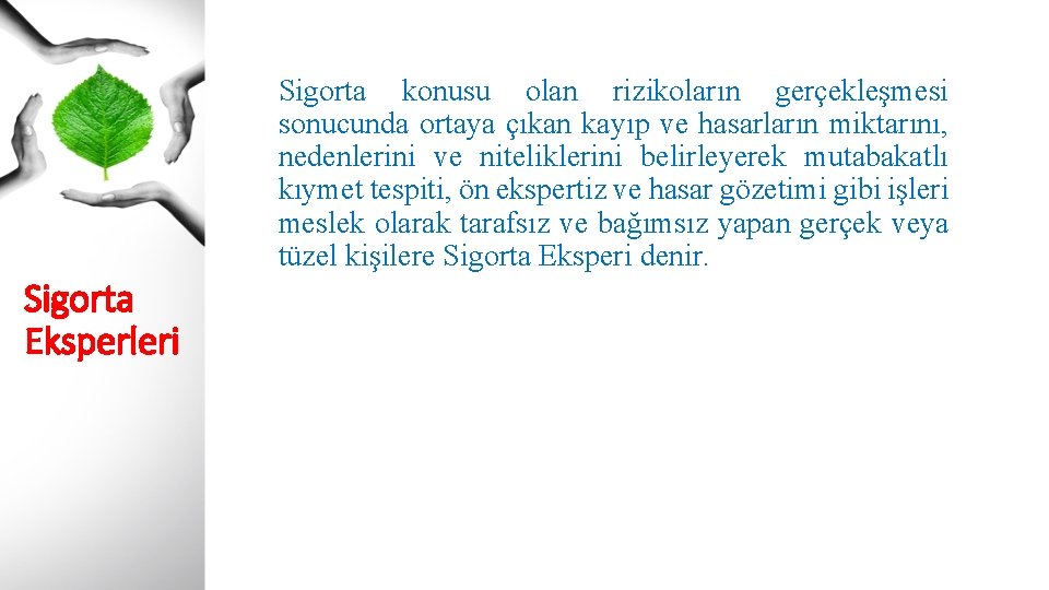 Sigorta konusu olan rizikoların gerçekleşmesi sonucunda ortaya çıkan kayıp ve hasarların miktarını, nedenlerini ve