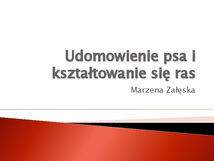 Udomowienie psa i kształtowanie się ras Marzena Załęska 