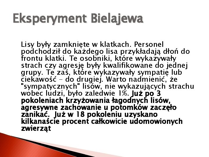 Eksperyment Bielajewa Lisy były zamknięte w klatkach. Personel podchodził do każdego lisa przykładają dłoń