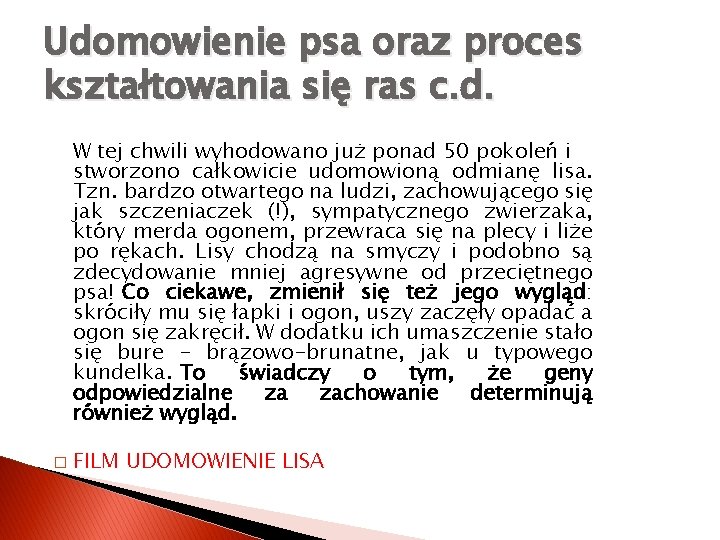 Udomowienie psa oraz proces kształtowania się ras c. d. W tej chwili wyhodowano już