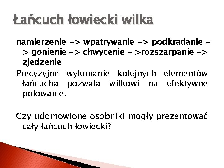 Łańcuch łowiecki wilka namierzenie -> wpatrywanie -> podkradanie > gonienie -> chwycenie - >rozszarpanie