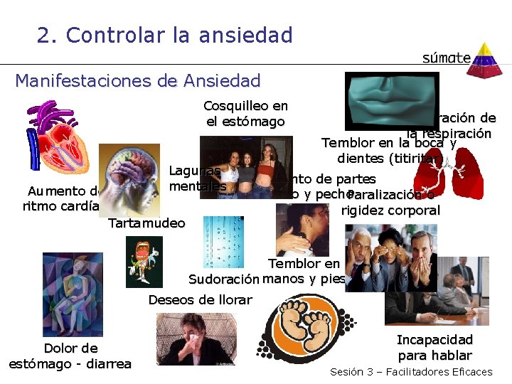 2. Controlar la ansiedad Manifestaciones de Ansiedad Cosquilleo en el estómago Aceleración de la