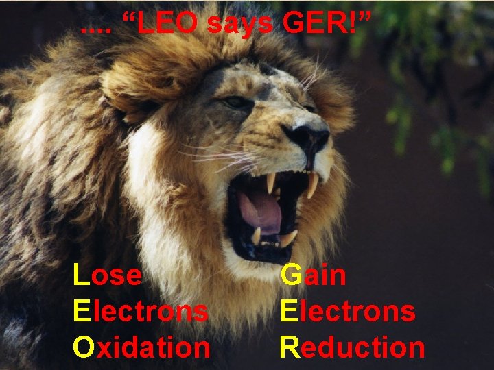 . . “LEO says GER!” Lose Electrons Oxidation Gain Electrons Reduction 