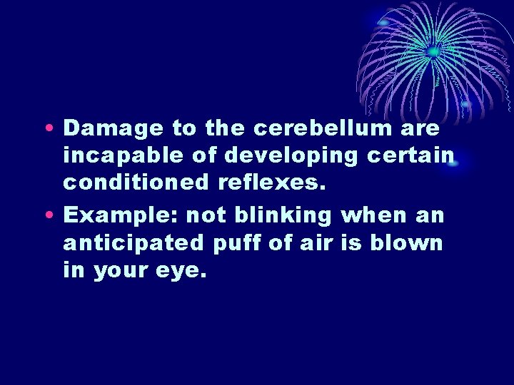 • Damage to the cerebellum are incapable of developing certain conditioned reflexes. • • Damage to the cerebellum are incapable of developing certain conditioned reflexes. •