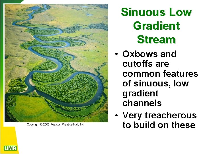 Sinuous Low Gradient Stream • Oxbows and cutoffs are common features of sinuous, low