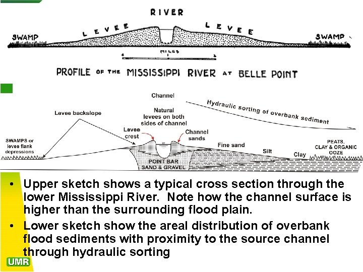  • Upper sketch shows a typical cross section through the lower Mississippi River.