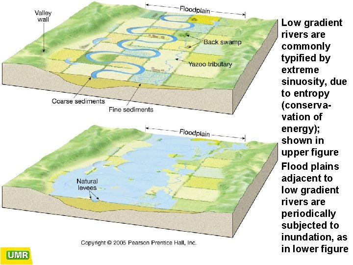  • Low gradient rivers are commonly typified by extreme sinuosity, due to entropy