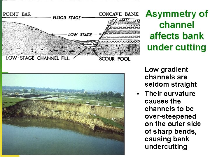 Asymmetry of channel affects bank under cutting • Low gradient channels are seldom straight