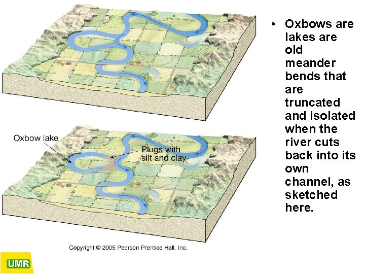  • Oxbows are lakes are old meander bends that are truncated and isolated