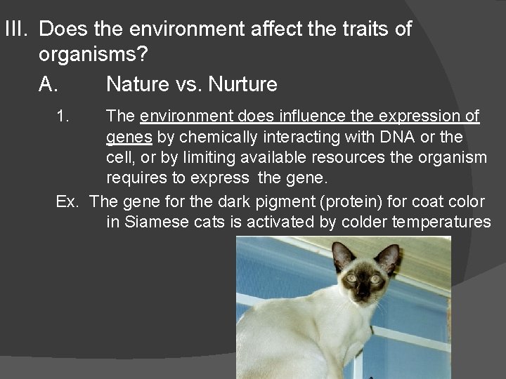 III. Does the environment affect the traits of organisms? A. Nature vs. Nurture 1. III. Does the environment affect the traits of organisms? A. Nature vs. Nurture 1.