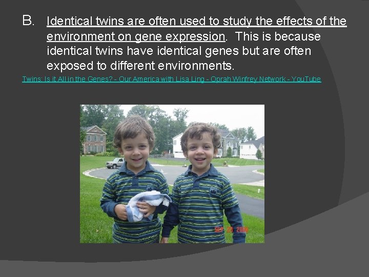 B. Identical twins are often used to study the effects of the environment on B. Identical twins are often used to study the effects of the environment on