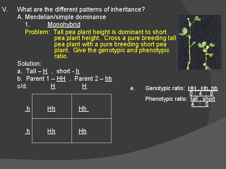 V. What are the different patterns of inheritance? A. Mendelian/simple dominance 1. Monohybrid Problem: V. What are the different patterns of inheritance? A. Mendelian/simple dominance 1. Monohybrid Problem: