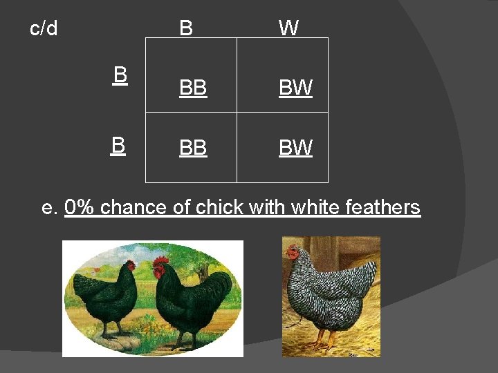 c/d B B B W BB BW e. 0% chance of chick with white c/d B B B W BB BW e. 0% chance of chick with white