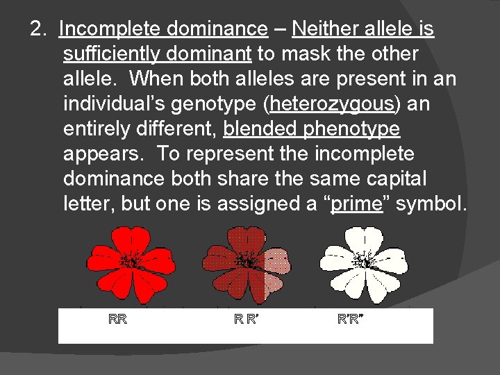 2. Incomplete dominance – Neither allele is sufficiently dominant to mask the other allele. 2. Incomplete dominance – Neither allele is sufficiently dominant to mask the other allele.