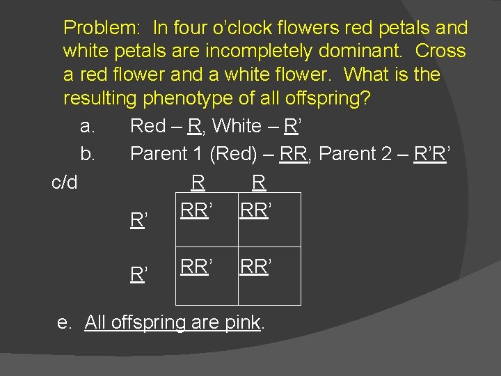 Problem: In four o’clock flowers red petals and white petals are incompletely dominant. Cross Problem: In four o’clock flowers red petals and white petals are incompletely dominant. Cross