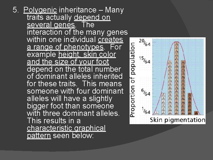 5. Polygenic inheritance – Many traits actually depend on several genes. The interaction of 5. Polygenic inheritance – Many traits actually depend on several genes. The interaction of