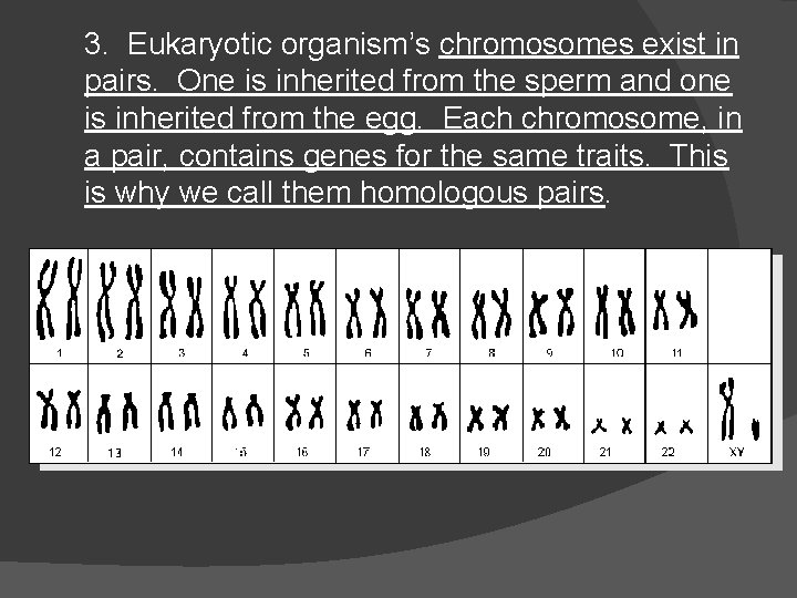 3. Eukaryotic organism’s chromosomes exist in pairs. One is inherited from the sperm and 3. Eukaryotic organism’s chromosomes exist in pairs. One is inherited from the sperm and