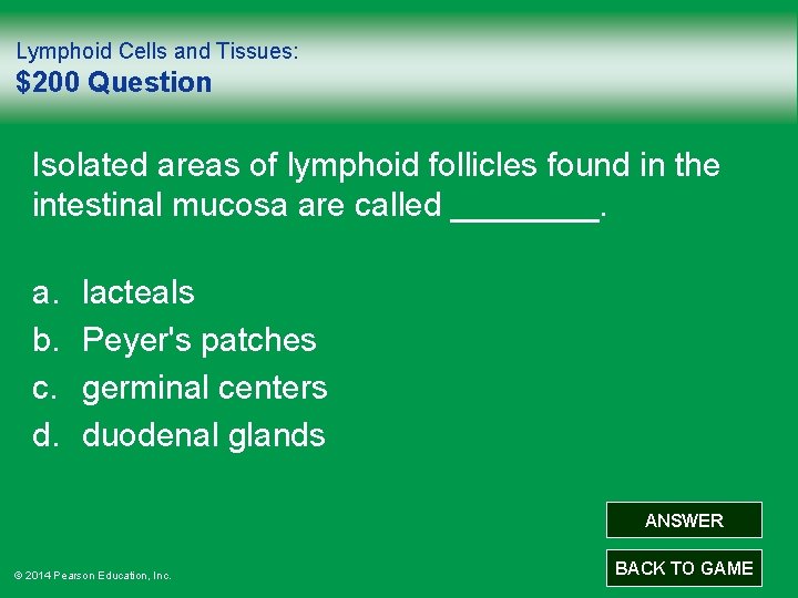 Lymphoid Cells and Tissues: $200 Question Isolated areas of lymphoid follicles found in the