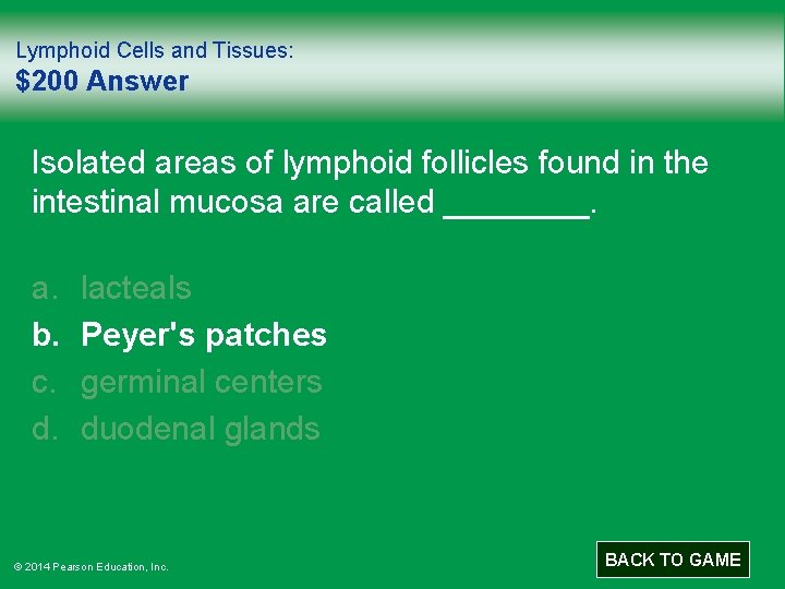 Lymphoid Cells and Tissues: $200 Answer Isolated areas of lymphoid follicles found in the