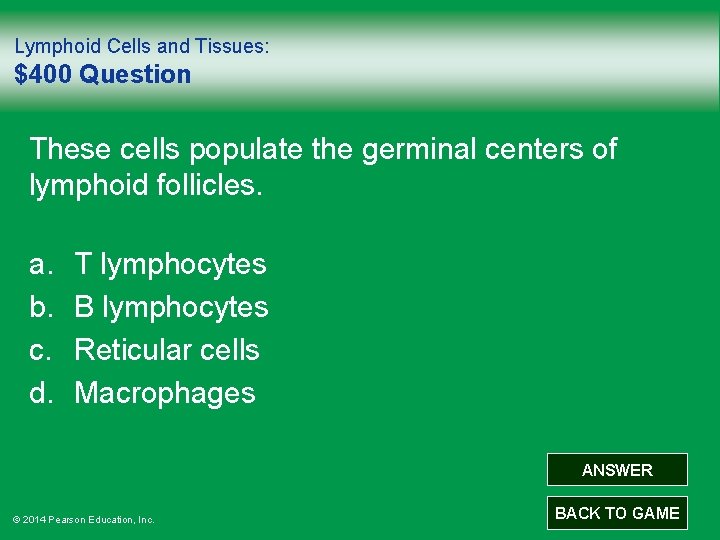 Lymphoid Cells and Tissues: $400 Question These cells populate the germinal centers of lymphoid