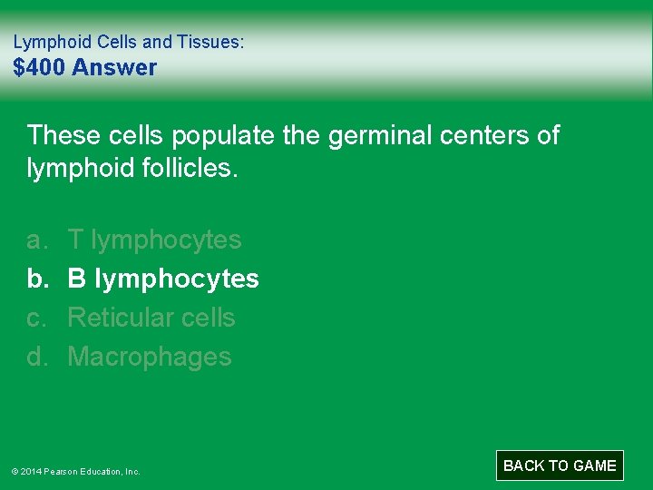 Lymphoid Cells and Tissues: $400 Answer These cells populate the germinal centers of lymphoid