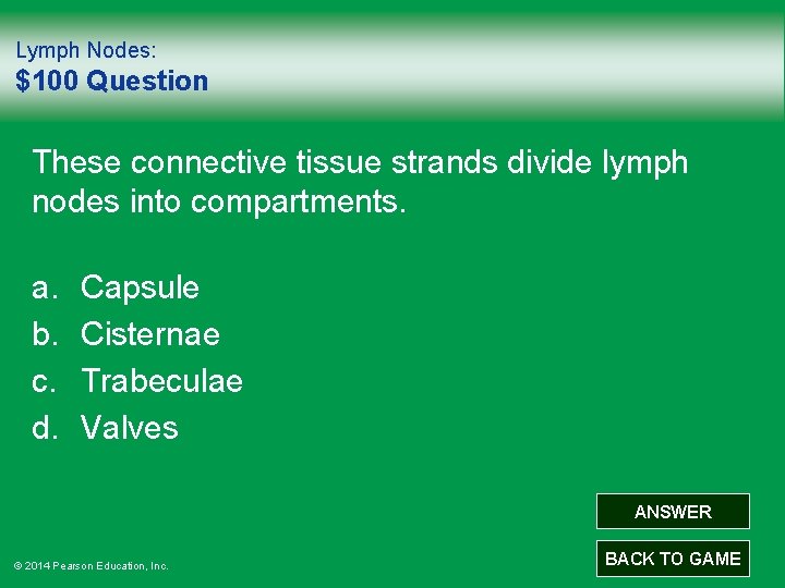 Lymph Nodes: $100 Question These connective tissue strands divide lymph nodes into compartments. a.