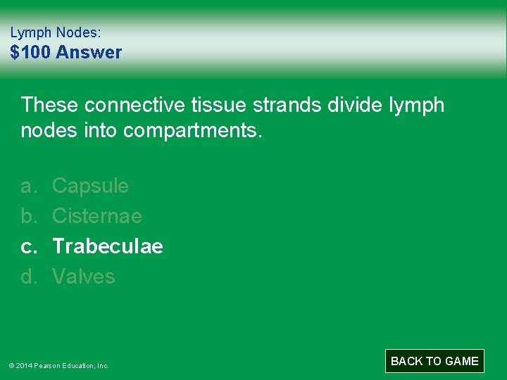 Lymph Nodes: $100 Answer These connective tissue strands divide lymph nodes into compartments. a.