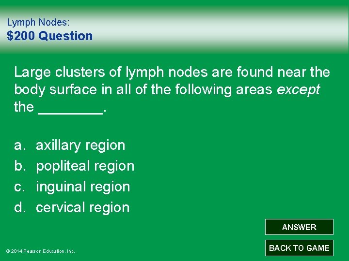 Lymph Nodes: $200 Question Large clusters of lymph nodes are found near the body