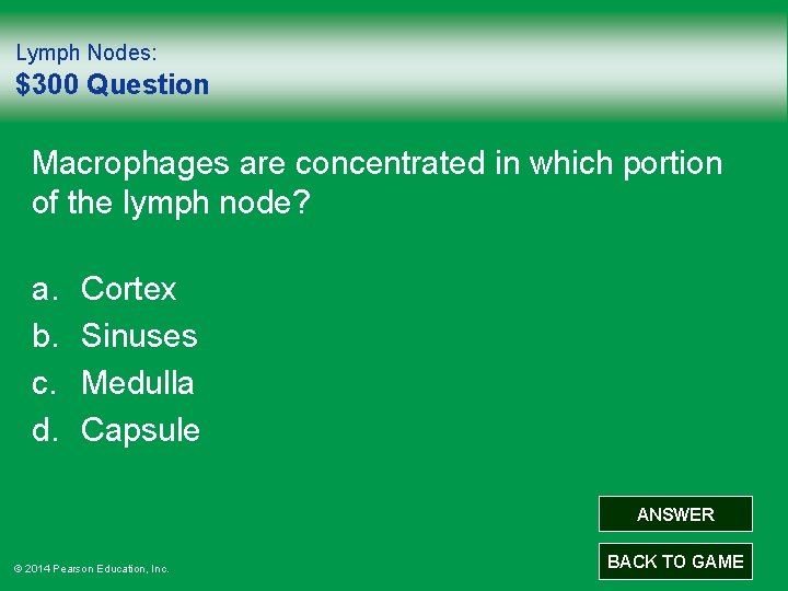 Lymph Nodes: $300 Question Macrophages are concentrated in which portion of the lymph node?