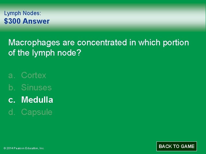 Lymph Nodes: $300 Answer Macrophages are concentrated in which portion of the lymph node?