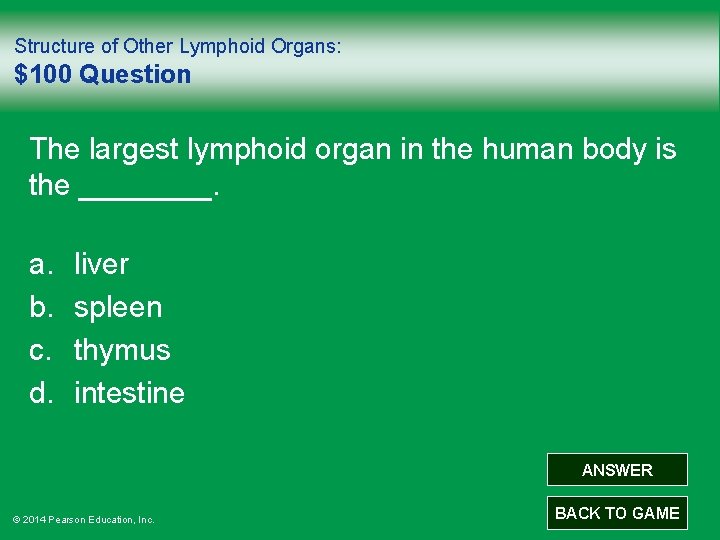 Structure of Other Lymphoid Organs: $100 Question The largest lymphoid organ in the human