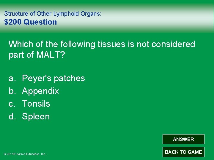 Structure of Other Lymphoid Organs: $200 Question Which of the following tissues is not