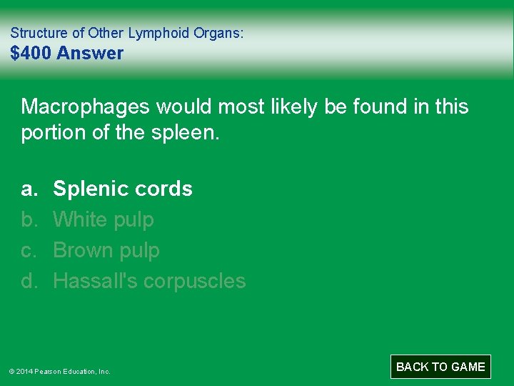 Structure of Other Lymphoid Organs: $400 Answer Macrophages would most likely be found in