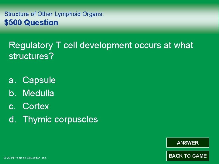 Structure of Other Lymphoid Organs: $500 Question Regulatory T cell development occurs at what