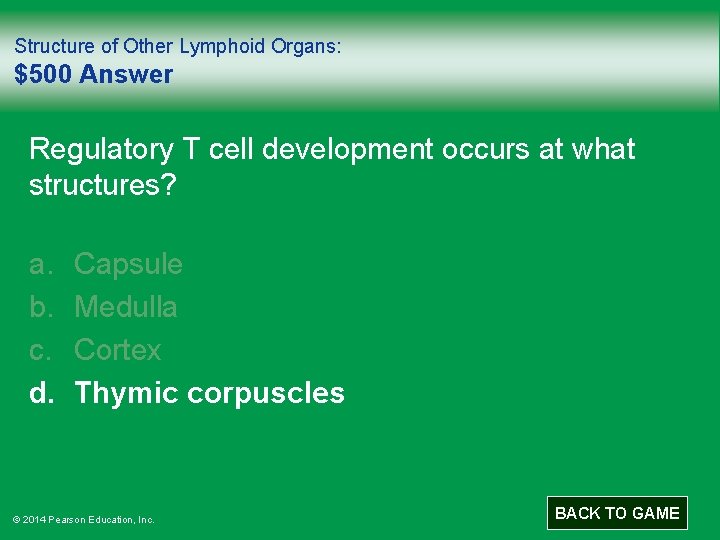 Structure of Other Lymphoid Organs: $500 Answer Regulatory T cell development occurs at what