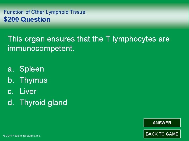 Function of Other Lymphoid Tissue: $200 Question This organ ensures that the T lymphocytes