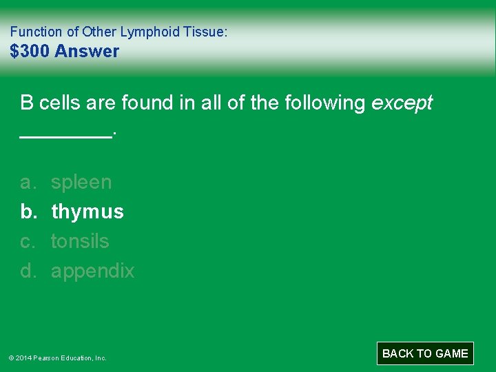 Function of Other Lymphoid Tissue: $300 Answer B cells are found in all of