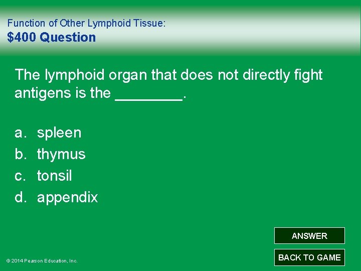 Function of Other Lymphoid Tissue: $400 Question The lymphoid organ that does not directly