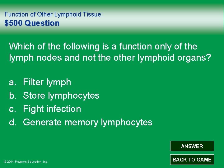 Function of Other Lymphoid Tissue: $500 Question Which of the following is a function