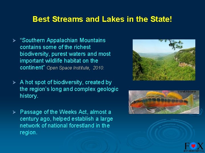 Best Streams and Lakes in the State! Ø “Southern Appalachian Mountains contains some of