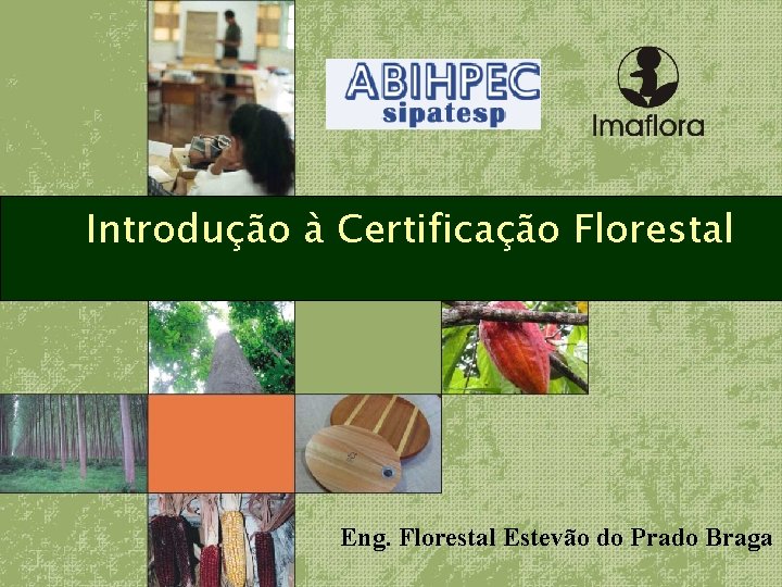 Introdução à Certificação Florestal Eng. Florestal Estevão do Prado Braga 