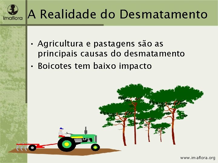 A Realidade do Desmatamento • Agricultura e pastagens são as principais causas do desmatamento
