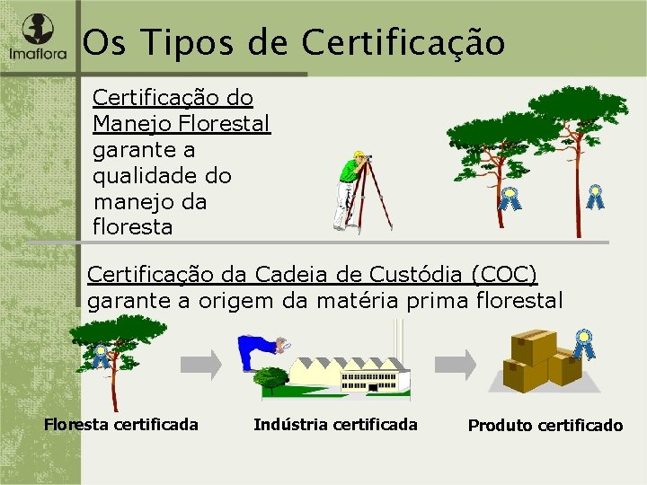 Os Tipos de Certificação do Manejo Florestal garante a qualidade do manejo da floresta