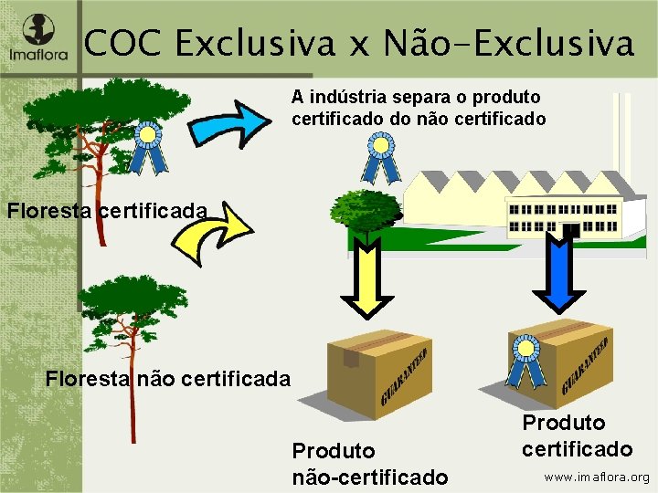 COC Exclusiva x Não-Exclusiva A indústria separa o produto certificado do não certificado Floresta