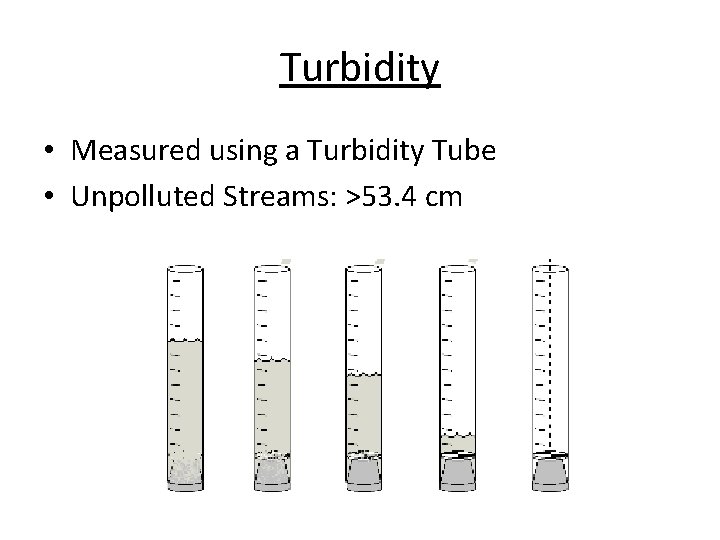 Turbidity • Measured using a Turbidity Tube • Unpolluted Streams: >53. 4 cm 