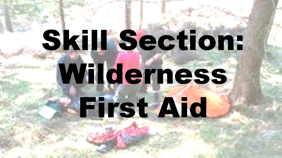 Skill Section: Wilderness First Aid 