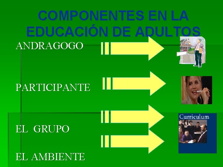 COMPONENTES EN LA EDUCACIÓN DE ADULTOS ANDRAGOGO PARTICIPANTE EL GRUPO EL AMBIENTE 
