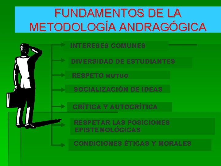 FUNDAMENTOS DE LA METODOLOGÍA ANDRAGÓGICA INTERESES COMUNES DIVERSIDAD DE ESTUDIANTES RESPETO MUTUO SOCIALIZACIÓN DE